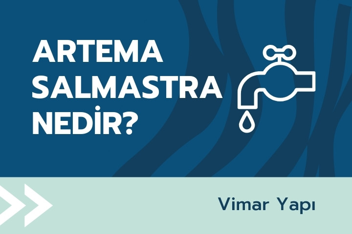 Artema Salmastra Nedir? Nereden Alınır? 1 artema salmastra