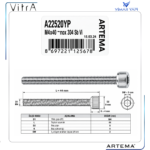 A22520YP Vida M4x40 DIN 84 Inox 304 SB - Görsel 3